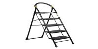 Buy Asian Paints TruCare Home Ladder, Foldable