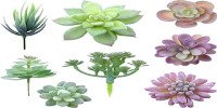 product of HASTHIP® 8Pcs Artificial Succulent Plants