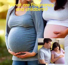 What are Pregnancy and childbirth ?