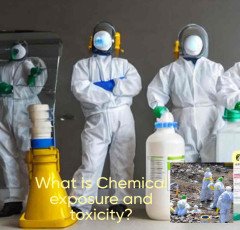 What is Chemical exposure and toxicity ?