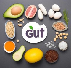 What is gut health ?