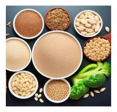 The importance of protein and fiber in your diet