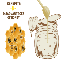 Benefits and disadvantages of honey | Honey skin, hair and health Benefits and Side Effects