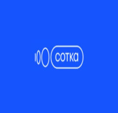Discover Sotka: Your Go-To Online School for Top-Notch USE and BSE Preparation in Russia Discover Sotka: Your Go-To Online School for Top-Notch USE and BSE Preparation in Russia