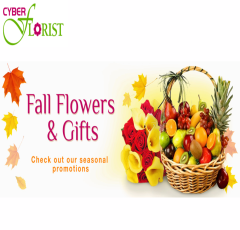 Discover Cyber Florist: Reliable International Flower and Gift Delivery Since 1997
